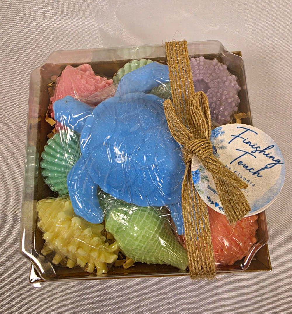 Blue Sea Turtle W/ Assorted Seashells Handmade Goat Milk Soap Gift Set Made USA